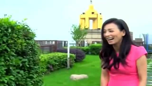 张庭网友爆料视频大全集,揭秘娱乐圈风云变幻  第2张